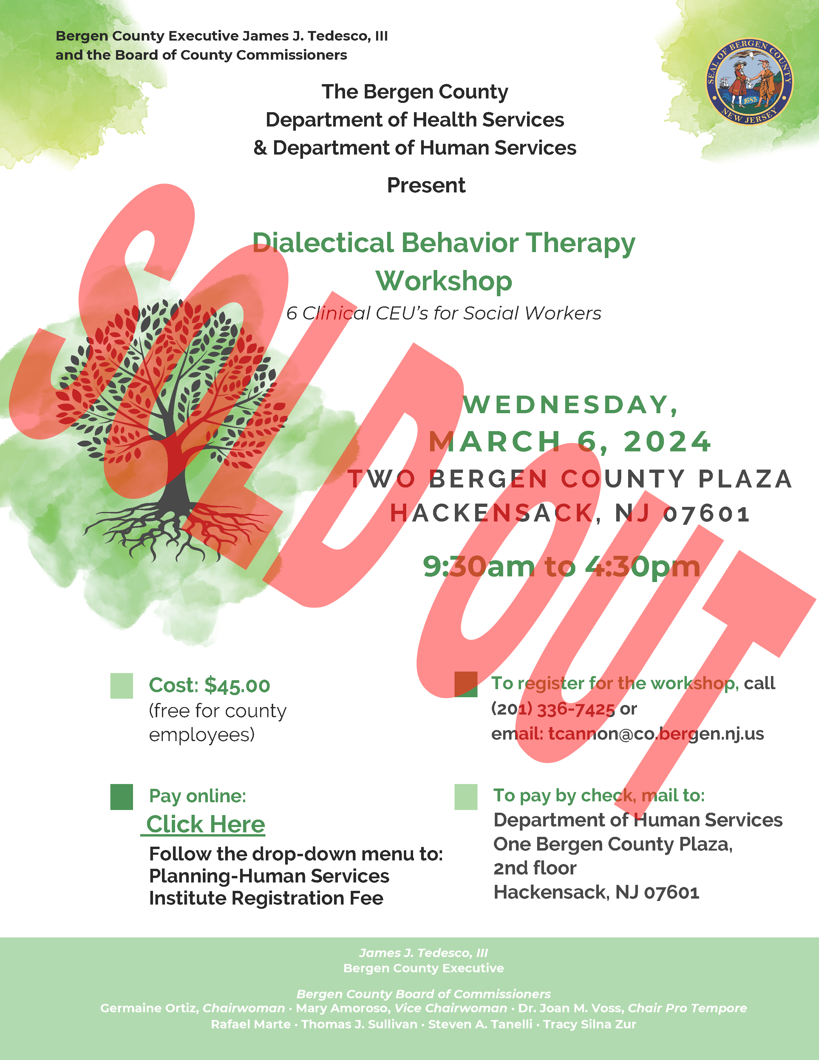 Dialectical Behavior Workshop Flyer Final
