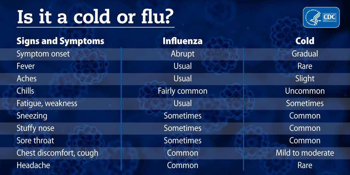 cold or flu large chart