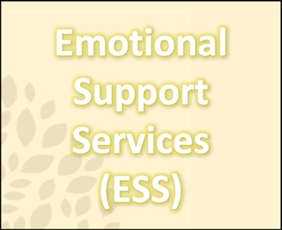 emotional-support.png