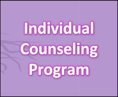 individual-counseling-program.png