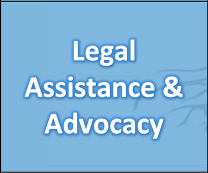 legal-assistance-advocacy.png