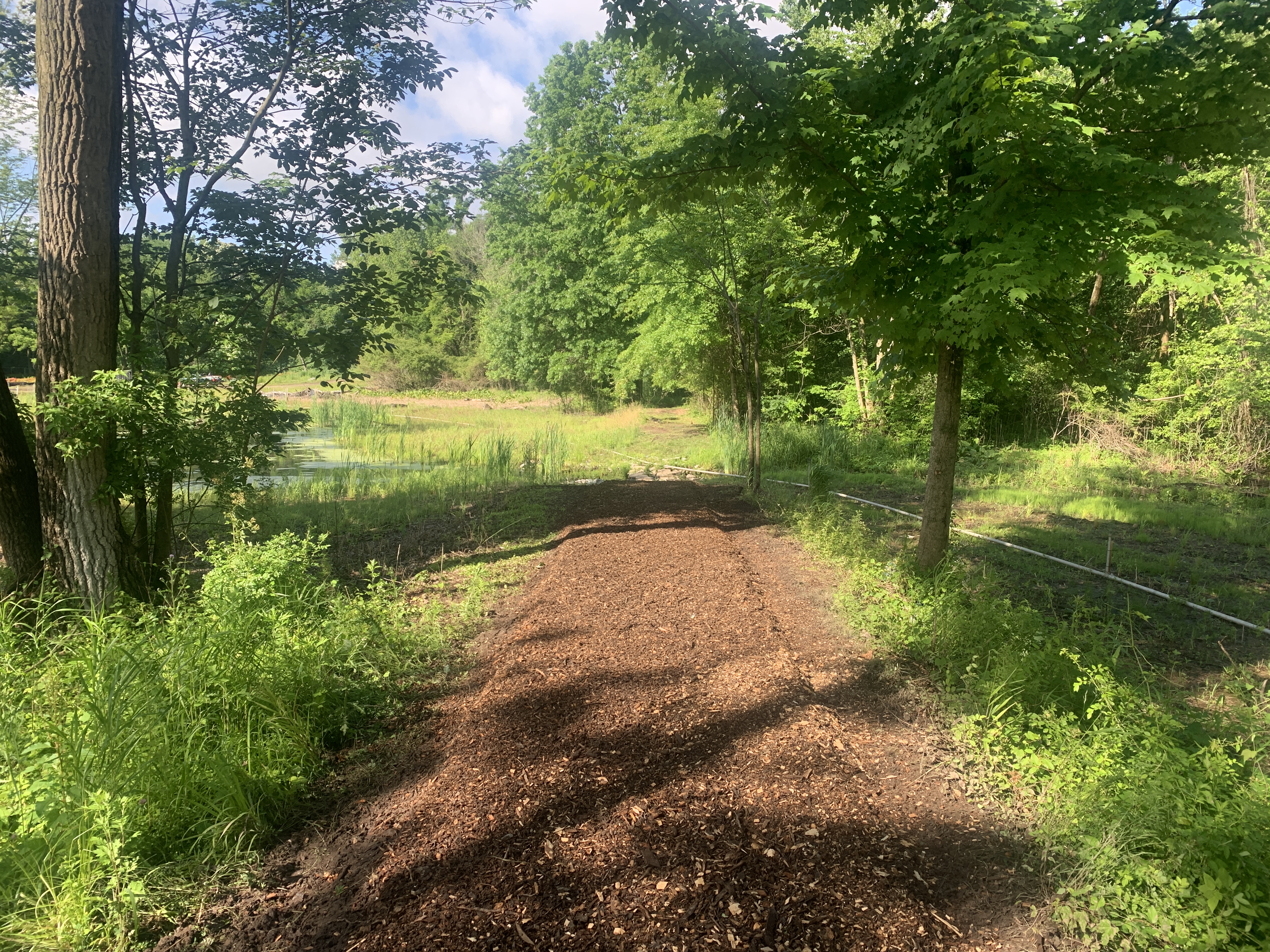 Teaneck Creek Ecological Restoration