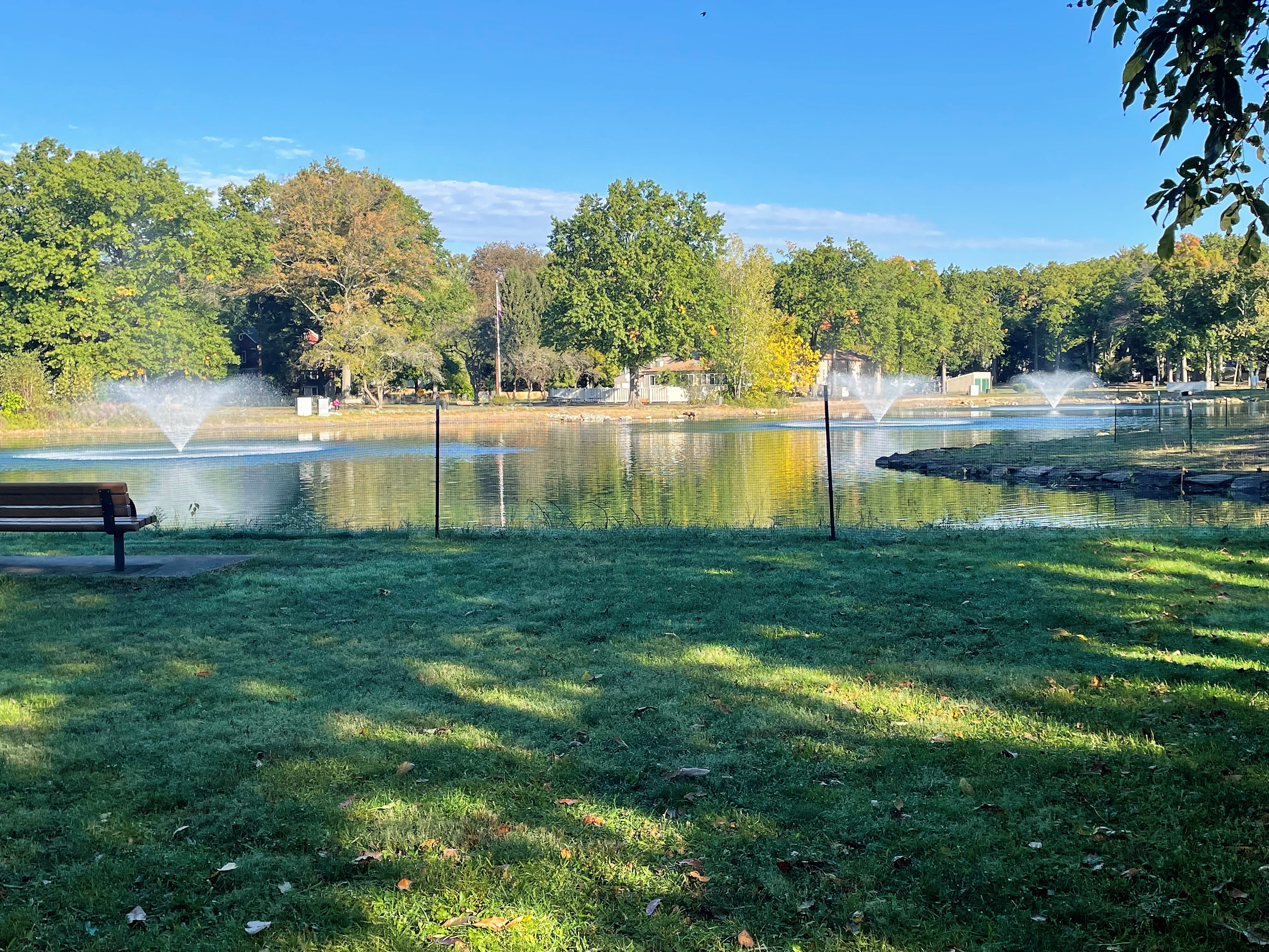 Wild Duck Pond Ecological Restoration