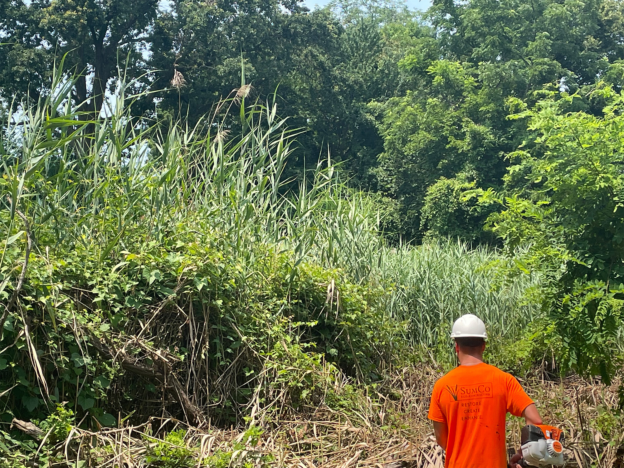 8/4/21: Machinery pathway constructed