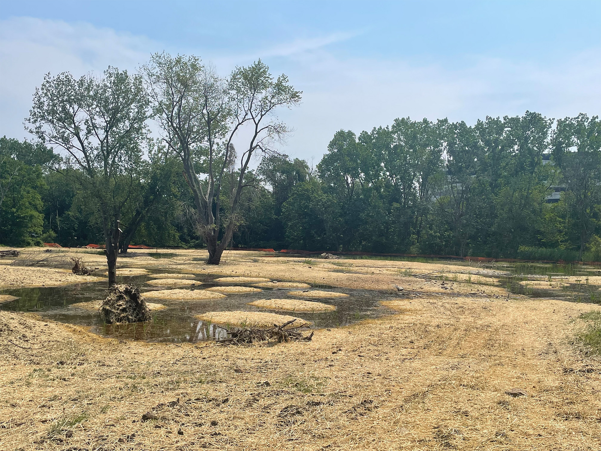 sand seepage pits
