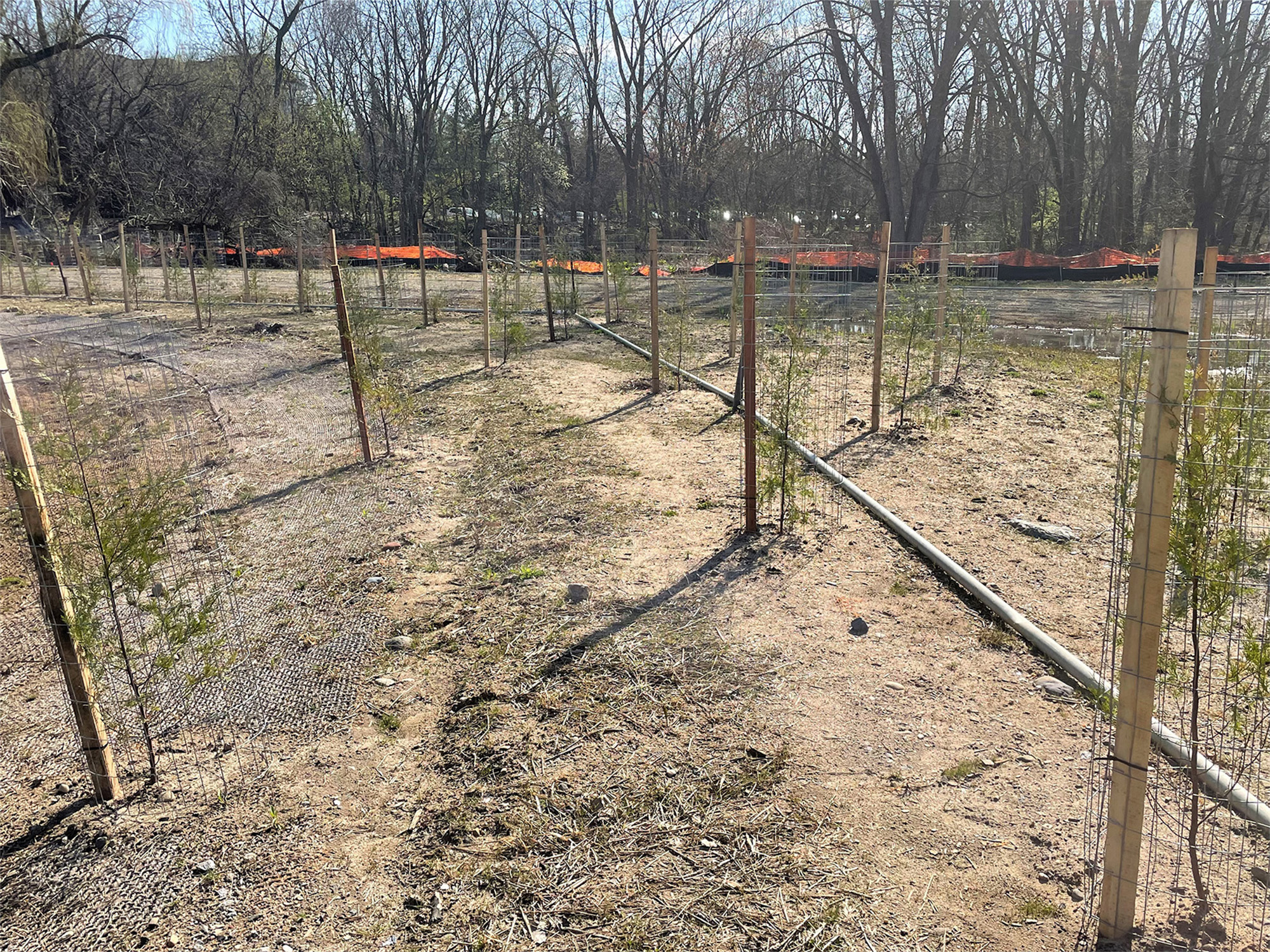 4/14/2022 Planting underway
